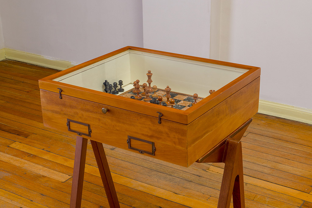 Chess gameset inside an entomological box